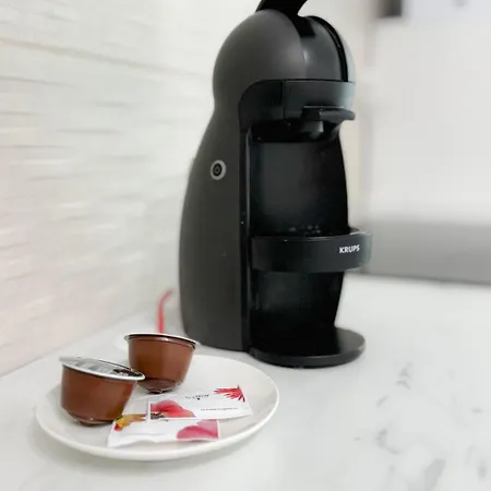 Appartamento G B Center