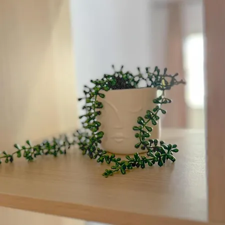 Lägenhet G B Center