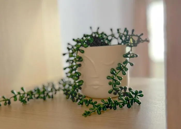 Apartament G B Center